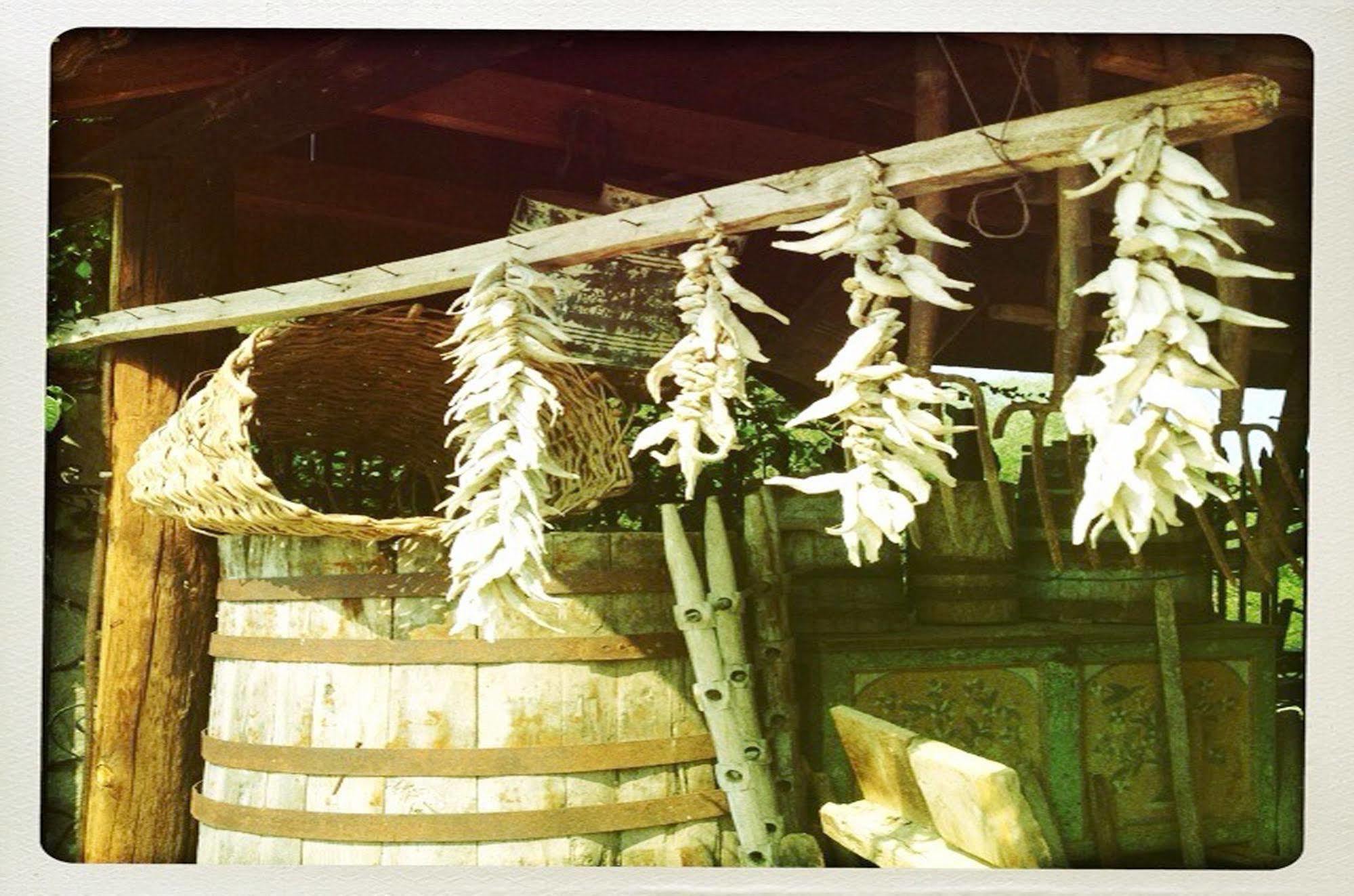 普雷斯帕Spa度假公寓式酒店 Platy  外观 照片